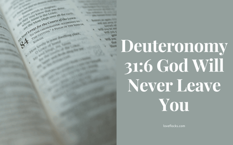 Deuteronomy 31:6 God Will Never Leave You