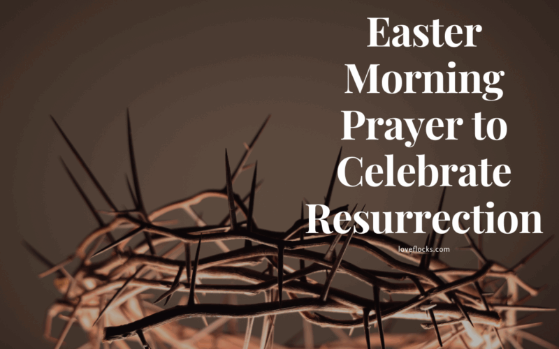 Prayer of Gratitude for the Resurrection Thank You, Jesus, for conquering the grave. Your resurrection gives me eternal hope. 1 Corinthians 15:57 (NIV)"But thanks be to God! He gives us the victory through our Lord Jesus Christ." Prayer to Embrace the Power of Easter Lord, fill my heart with the joy and power of Your resurrection this morning. Romans 8:11 (NIV)"The Spirit of him who raised Jesus from the dead is living in you..." Prayer to Live in Resurrection Victory Let me walk in Your victory, Lord, and leave behind every fear. Philippians 3:10 (NIV)"I want to know Christ—yes, to know the power of his resurrection..." Prayer to Rise Above Doubt Risen Lord, lift my faith. Help me believe in Your power when I feel weak. John 20:29 (NIV)"Blessed are those who have not seen and yet have believed." Prayer for a New Beginning Resurrect in me a new hope, Lord. Today is a fresh start because of You. 2 Corinthians 5:17 (NIV)"If anyone is in Christ, the new creation has come..." Prayer of Praise for the Empty Tomb Hallelujah, Lord! The tomb is empty, and my heart is full of praise. Matthew 28:6 (NIV)"He is not here; he has risen, just as he said." Prayer for Bold Faith Empower me to share the good news of Your resurrection boldly and joyfully. Acts 4:33 (NIV)"With great power the apostles continued to testify to the resurrection of the Lord Jesus..." Prayer to Let Go of the Past Jesus, help me release my past and walk freely in the light of Your resurrection. Isaiah 43:19 (NIV)"See, I am doing a new thing! Now it springs up; do you not perceive it?" Prayer for Family Renewal Lord, let Your resurrection power bring peace, love, and healing to my family. Joshua 24:15 (NIV)"As for me and my household, we will serve the Lord." Prayer for Joy on Easter Morning Fill my spirit with joy, Lord. Today, I celebrate life through Your resurrection. Psalm 30:5 (NIV)"Weeping may stay for the night, but rejoicing comes in the morning."