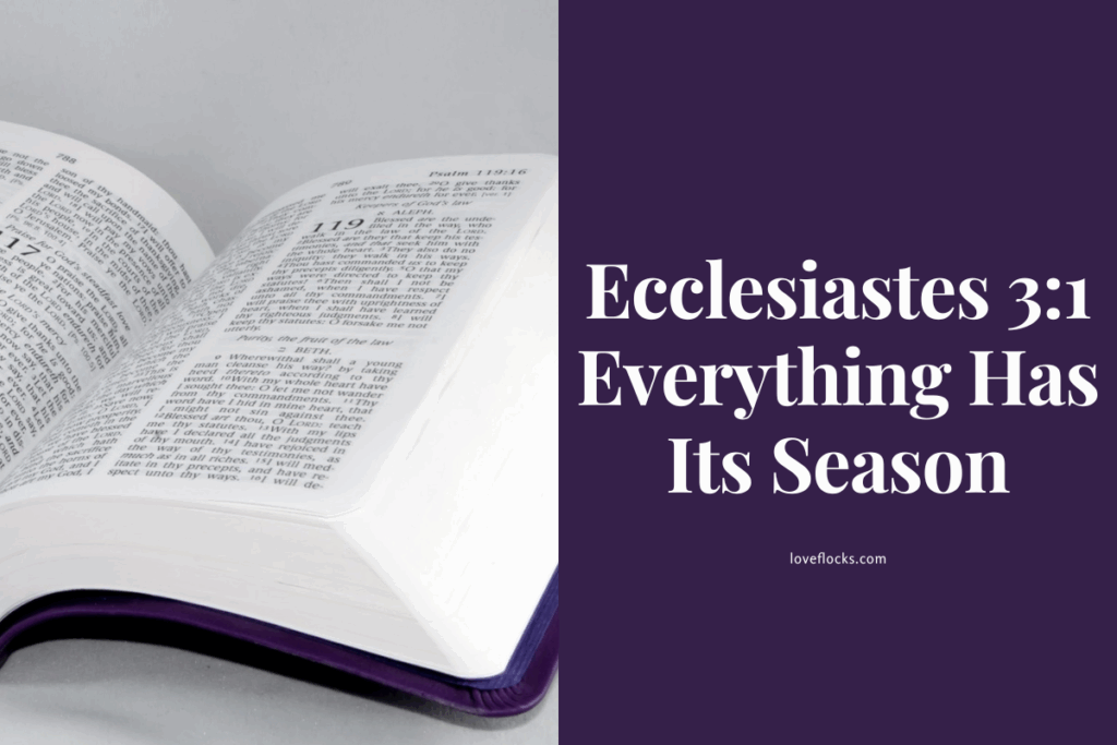 Ecclesiastes 3:1 Everything Has Its Season