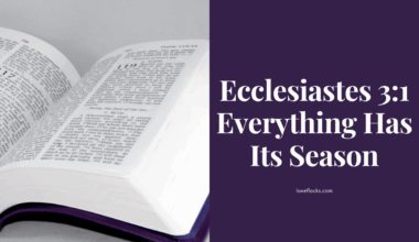Ecclesiastes 3:1 Everything Has Its Season