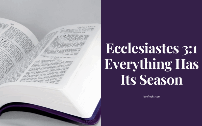 Ecclesiastes 3:1 Everything Has Its Season
