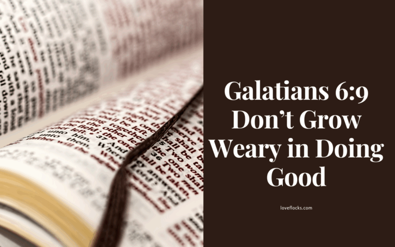Galatians 6:9 Don’t Grow Weary in Doing Good