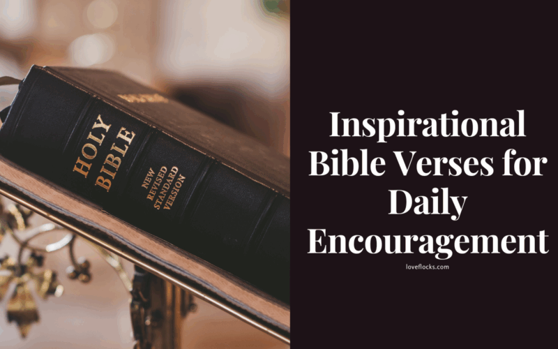 Inspirational Bible Verses for Daily Encouragement