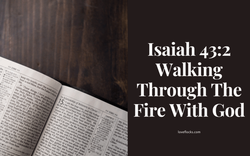 Isaiah 43:2 Walking Through The Fire With God