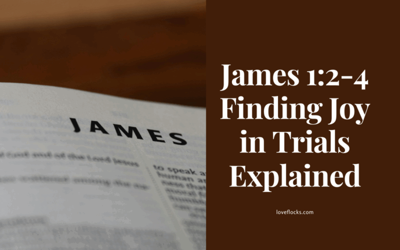 James 1:2-4 Finding Joy in Trials Explained