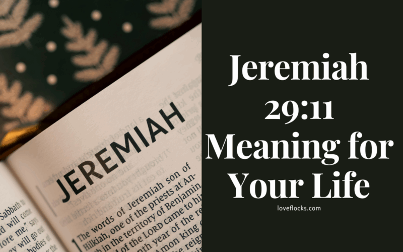 Jeremiah 29:11 Meaning for Your Life