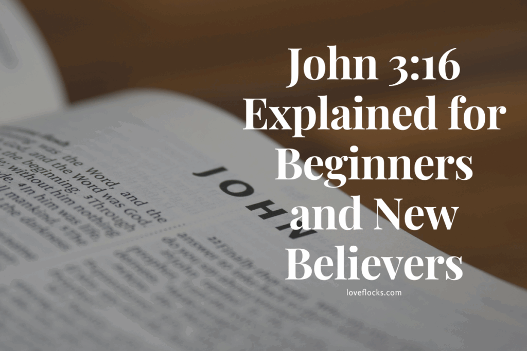 John 3:16 Explained for Beginners and New Believers