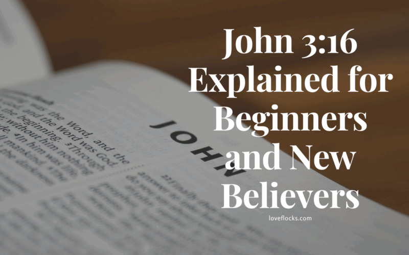 John 3:16 Explained for Beginners and New Believers