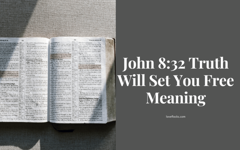 John 8:32 Truth Will Set You Free Meaning
