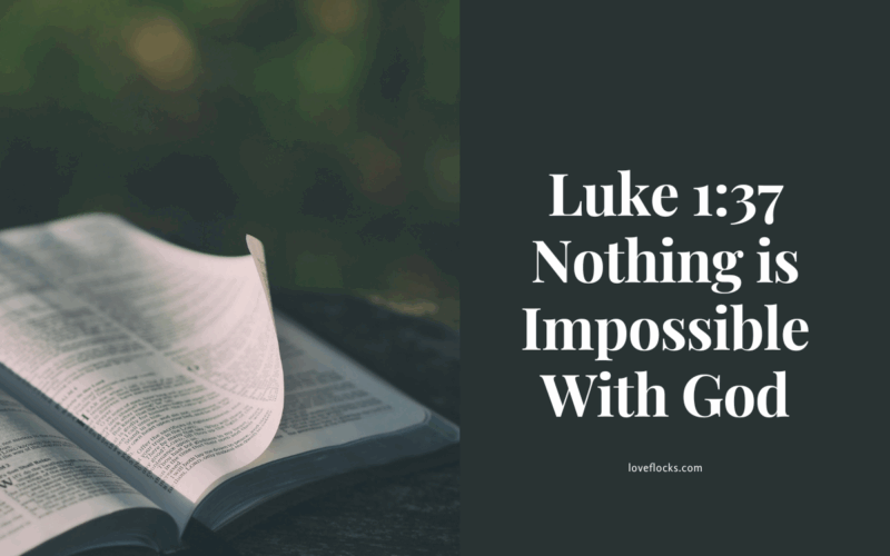 Luke 1:37 Nothing is Impossible With God