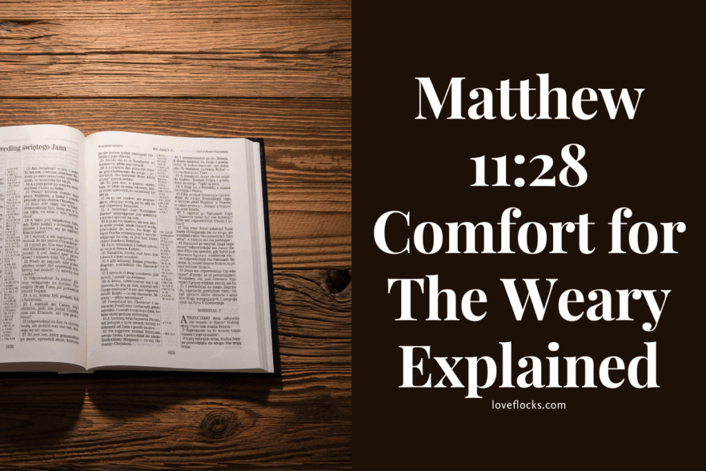 Matthew 11:28 Comfort for The Weary Explained