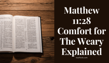 Matthew 11:28 Comfort for The Weary Explained