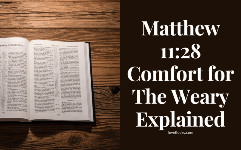 Matthew 11:28 Comfort for The Weary Explained