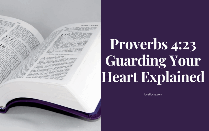 Proverbs 4:23 Guarding Your Heart Explained