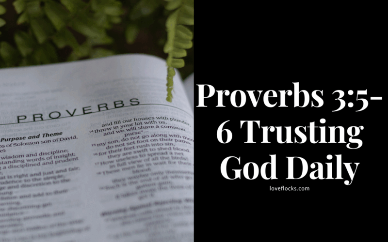 Proverbs 3:5-6 Trusting God Daily