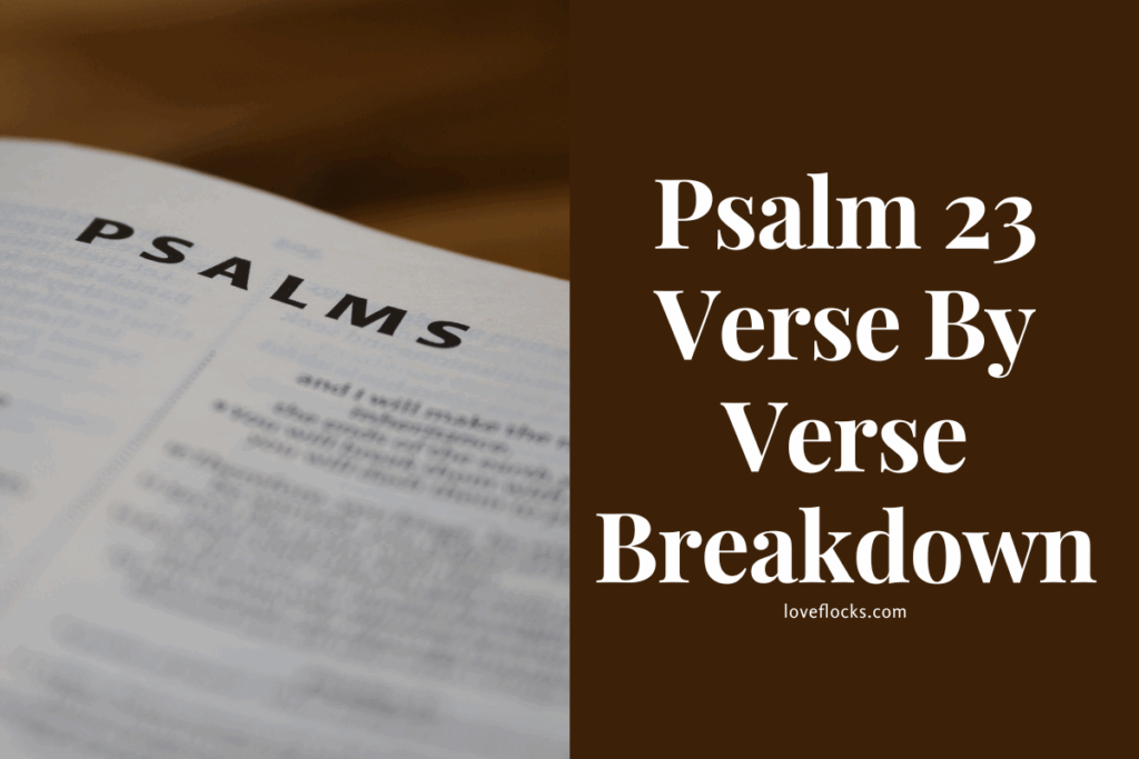 Psalm 23 Verse By Verse Breakdown