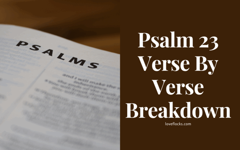 Psalm 23 Verse By Verse Breakdown