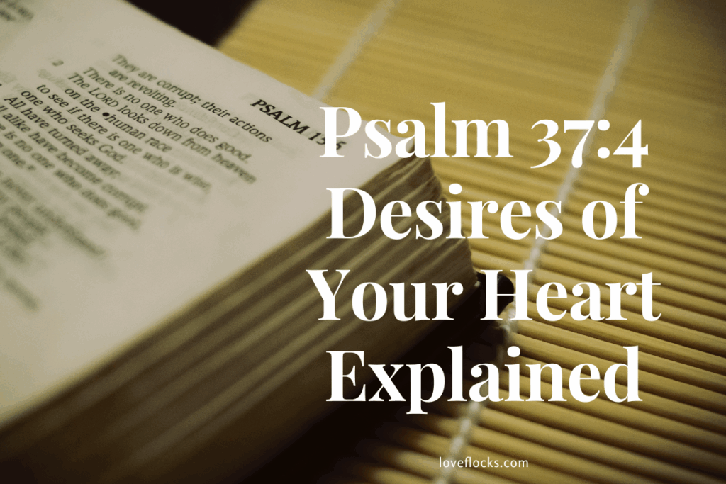 Psalm 37:4 Desires of Your Heart Explained