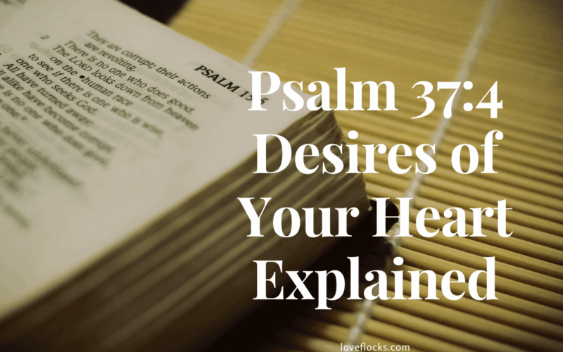 Psalm 37:4 Desires of Your Heart Explained