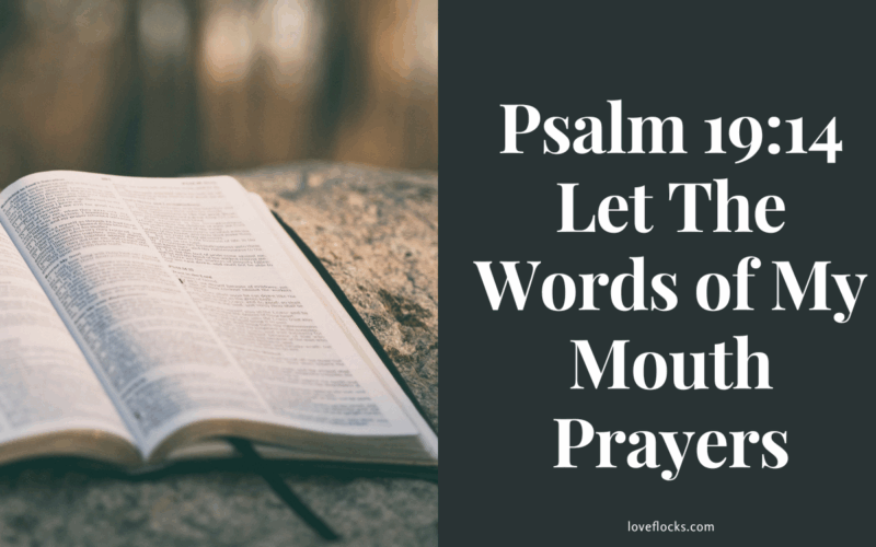 Psalm 19:14 Let The Words of My Mouth Be Prayers