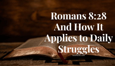 Romans 8:28 And How It Applies to Daily Struggles