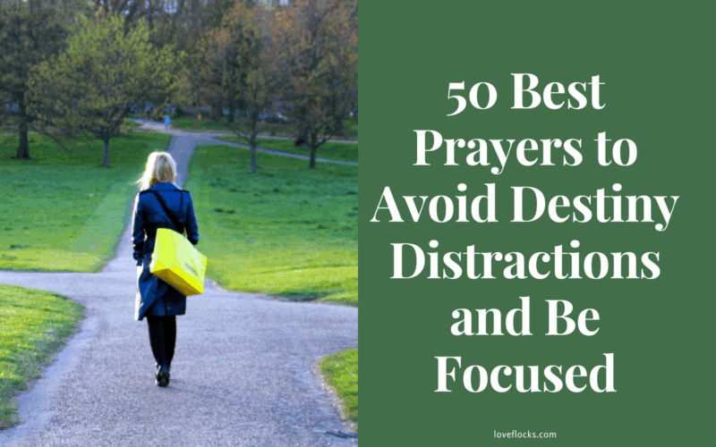 A focused traveler walking along a narrow path while distractions