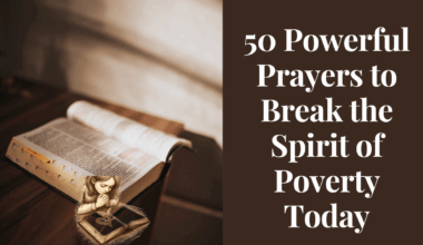 An open Bible with a light shining on verses about God’s provision