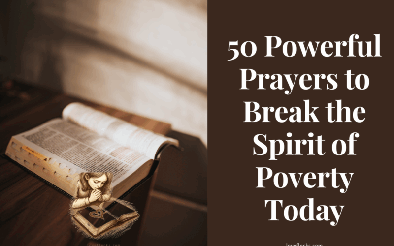 An open Bible with a light shining on verses about God’s provision