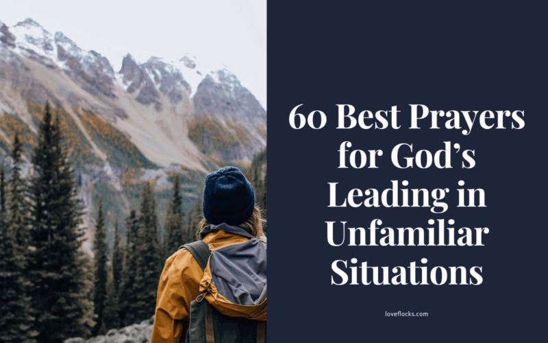 A person standing at a crossroads in a misty forest