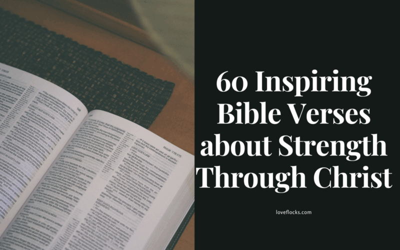 A Bible page and a highlight of Verses about Strength Through Christ