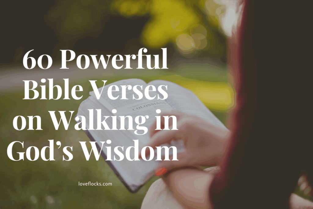 Bible Verses on Walking in God’s Wisdom 