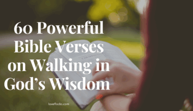 Bible Verses on Walking in God’s Wisdom