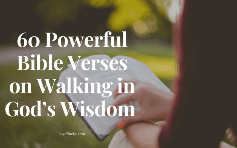Bible Verses on Walking in God’s Wisdom