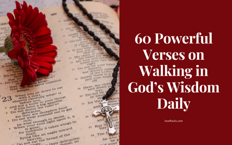 60 Powerful Verses on Walking in God’s Wisdom Daily