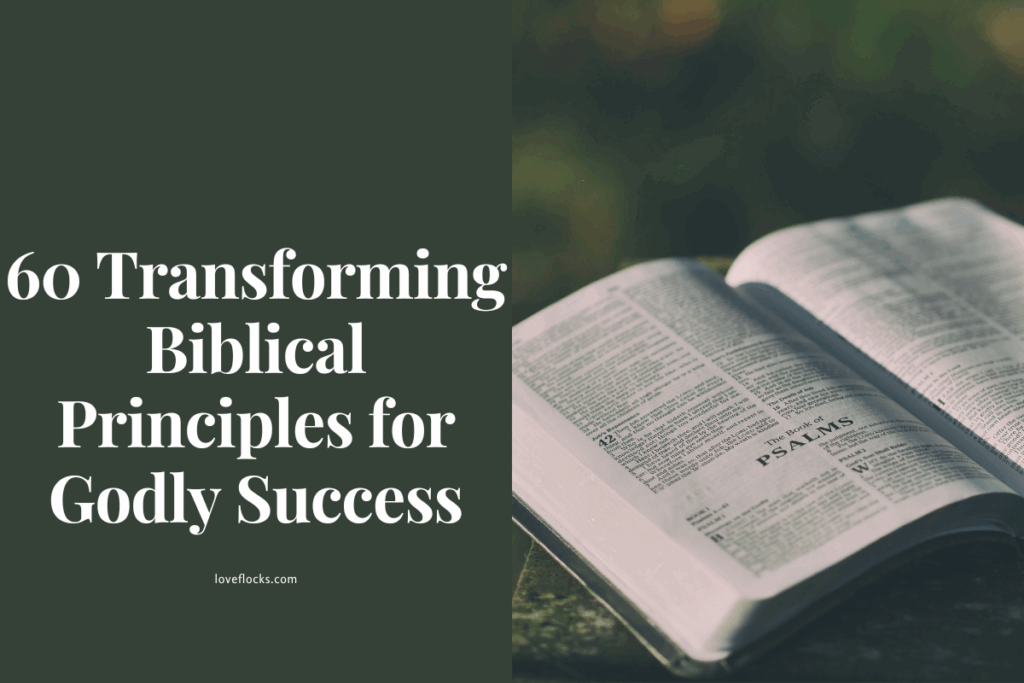 60 Transforming Biblical Principles for Godly Success