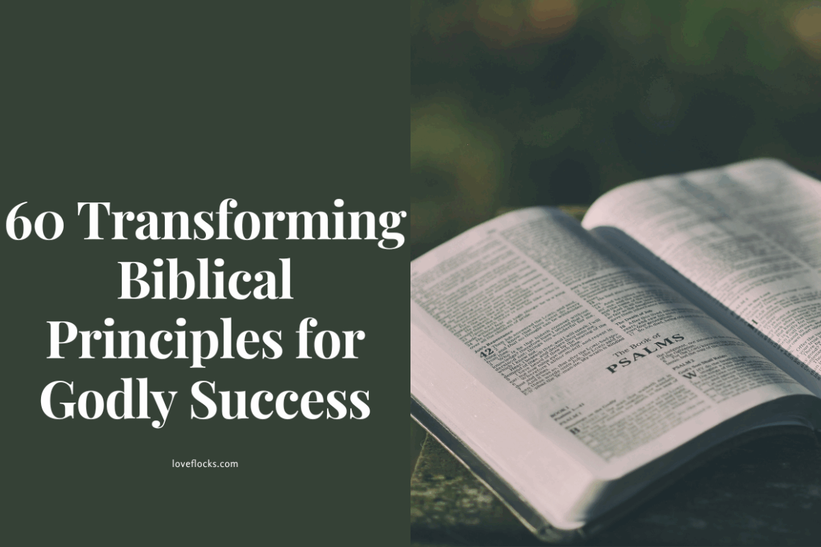 Scripture Principles 60 Transforming Biblical Principles For Godly Success