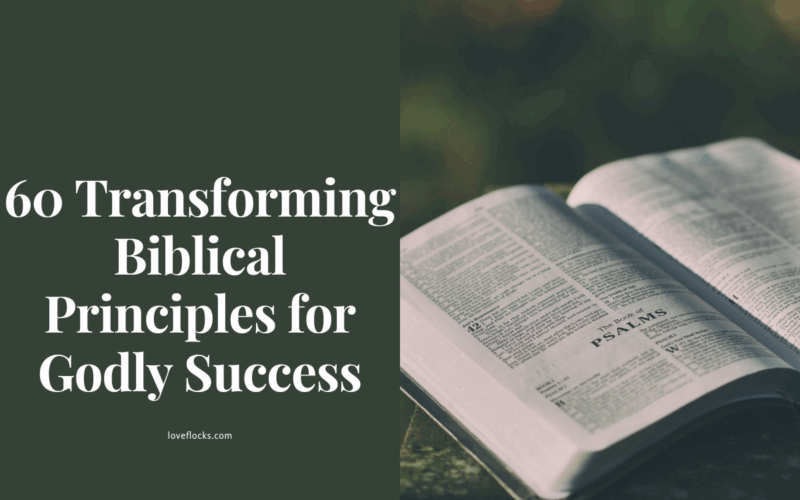 60 Transforming Biblical Principles for Godly Success