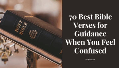 Bible Verses for Guidance When You Feel Confused