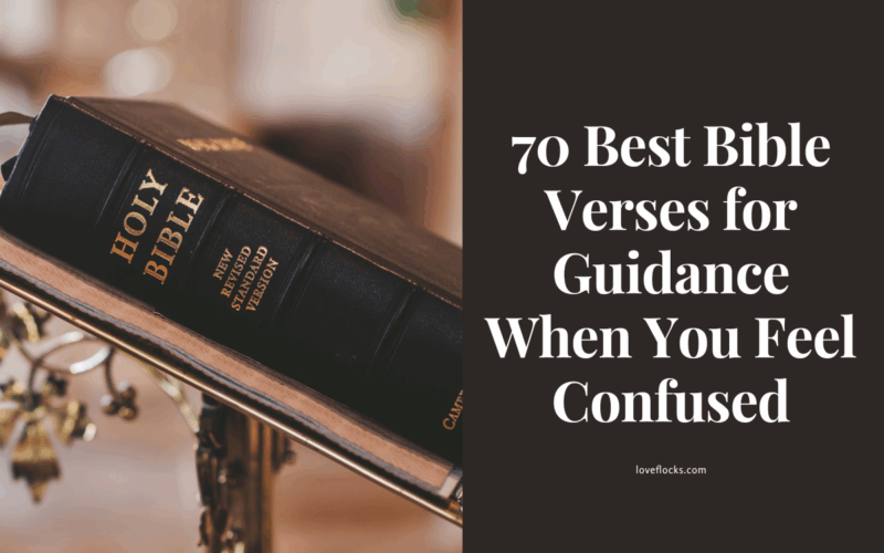 Bible Verses for Guidance When You Feel Confused