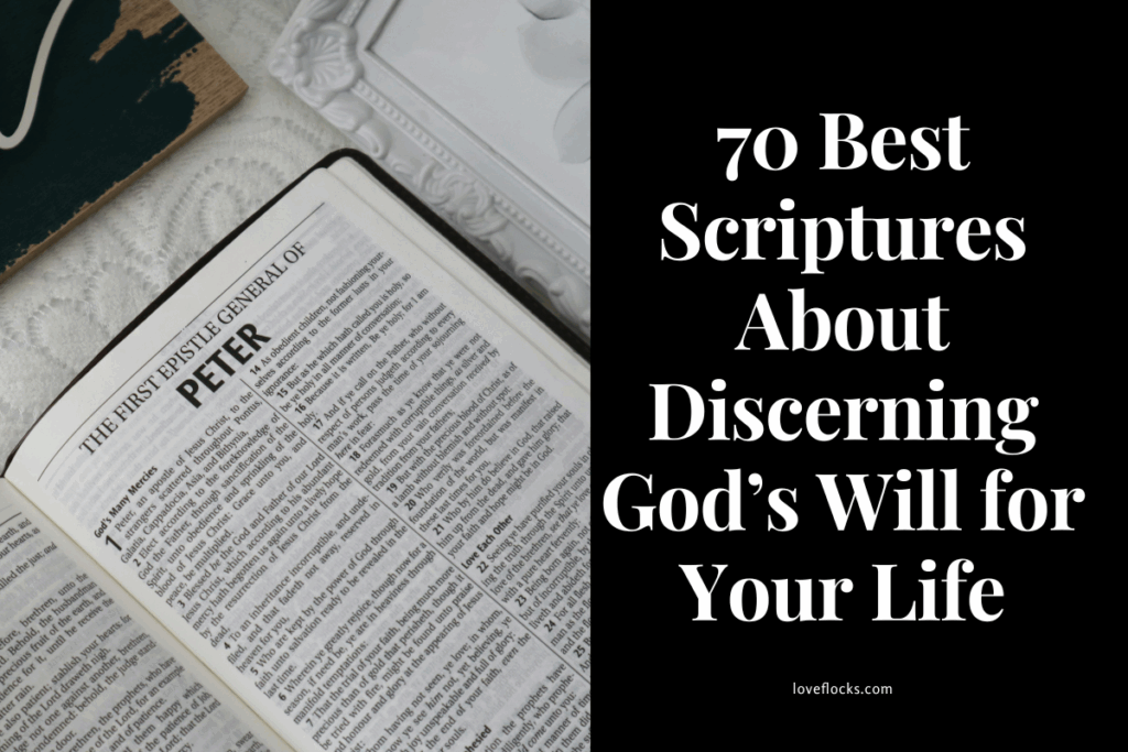 70 Best Scriptures About Discerning God’s Will for Your Life