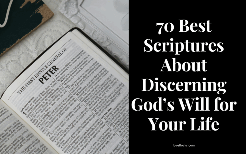 70 Best Scriptures About Discerning God’s Will for Your Life