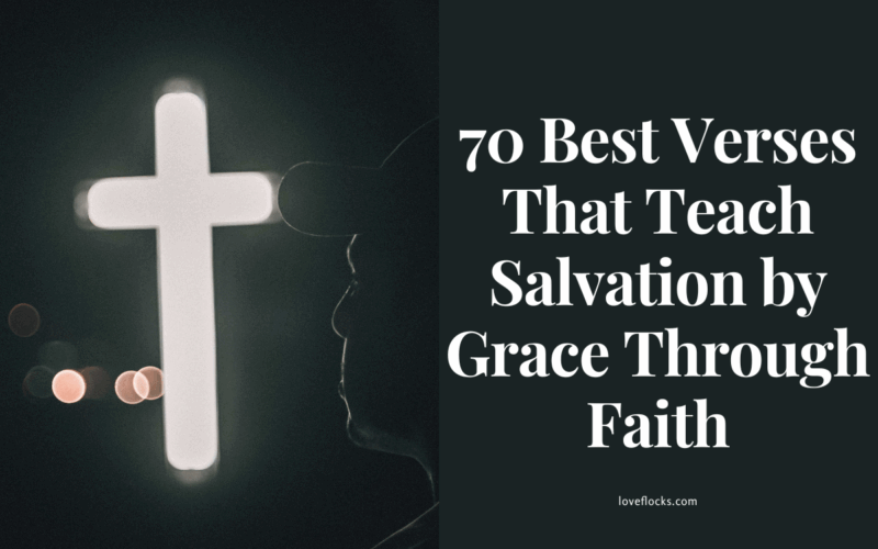 Verses That Teach Salvation by Grace Through Faith