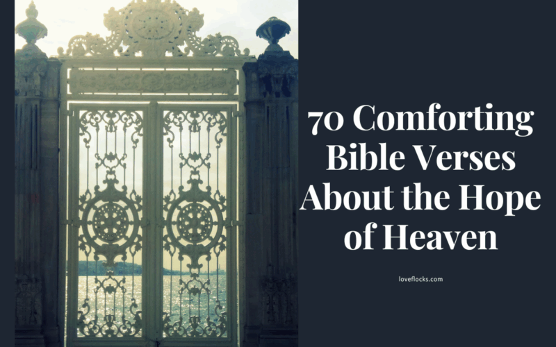 Bible Verses About the Hope of Heaven