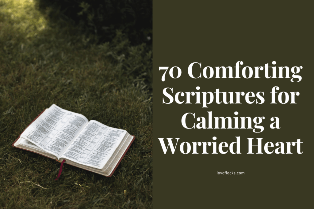 “Bible open on a peaceful morning – scriptures for calming a worried heart”
