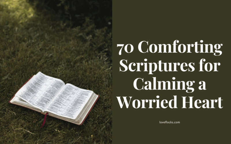 “Bible open on a peaceful morning – scriptures for calming a worried heart”