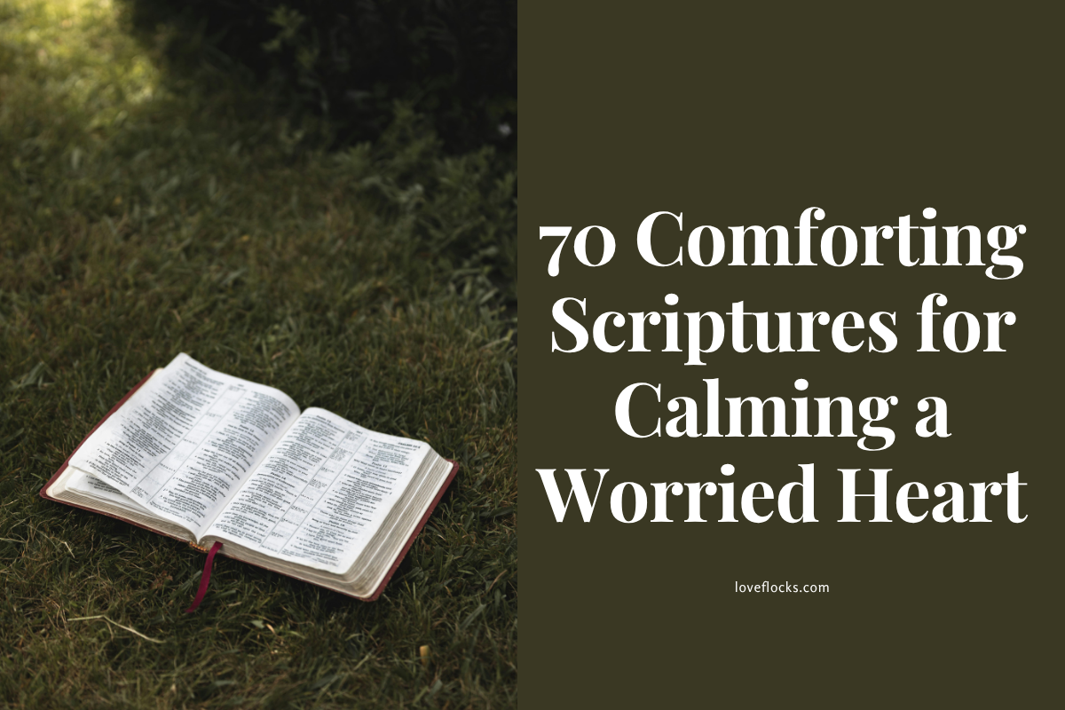 70 Comforting Scriptures For Calming A Worried Heart
