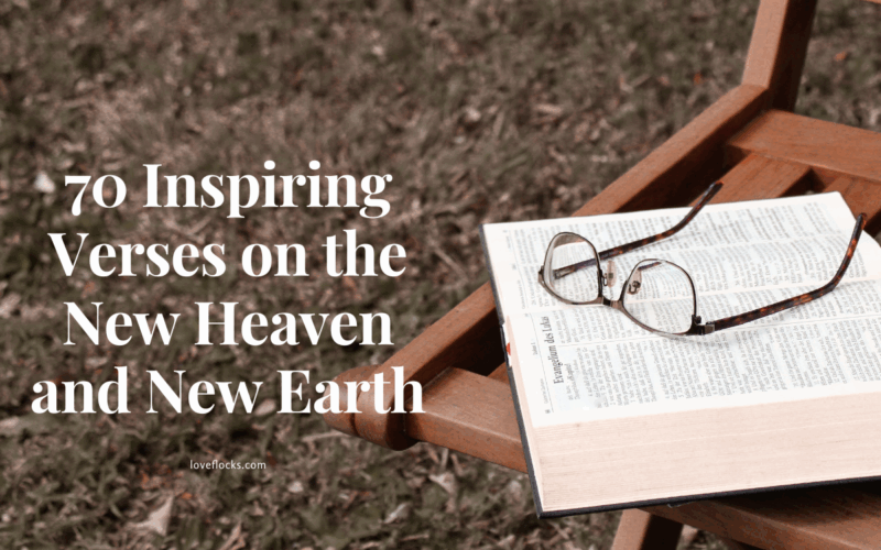 Verses on the New Heaven and New Earth