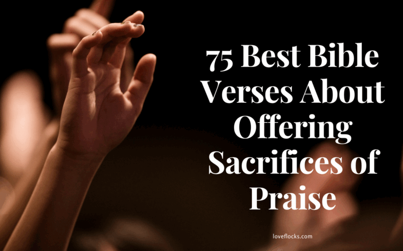Bible Verses About Offering Sacrifices of Praise
