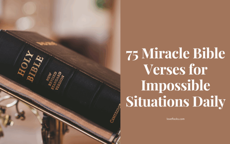 Bible Verses for Impossible Situations Daily