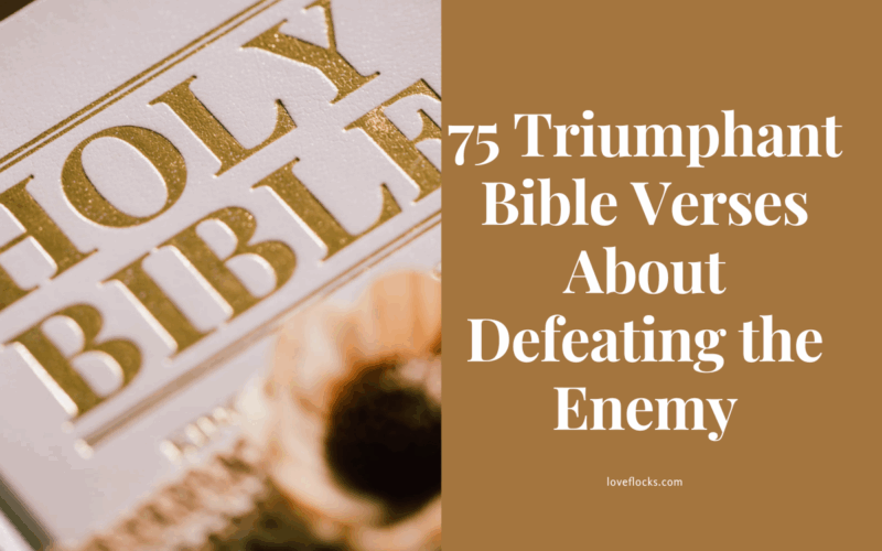 Bible Verses About Defeating the Enemy